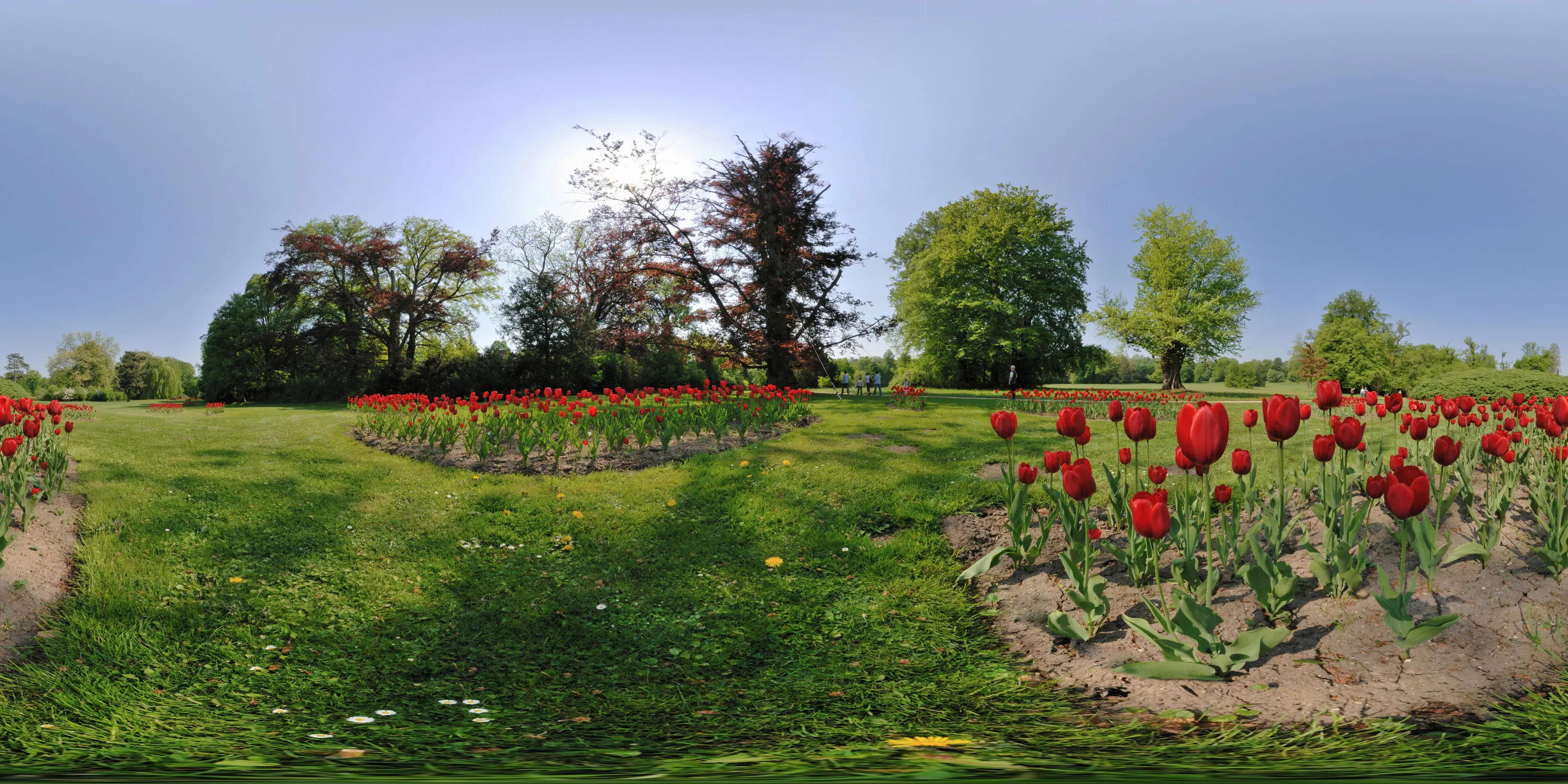 360 Grad Panorama Ansicht: Rosenbeete in Fürst Pückler Park