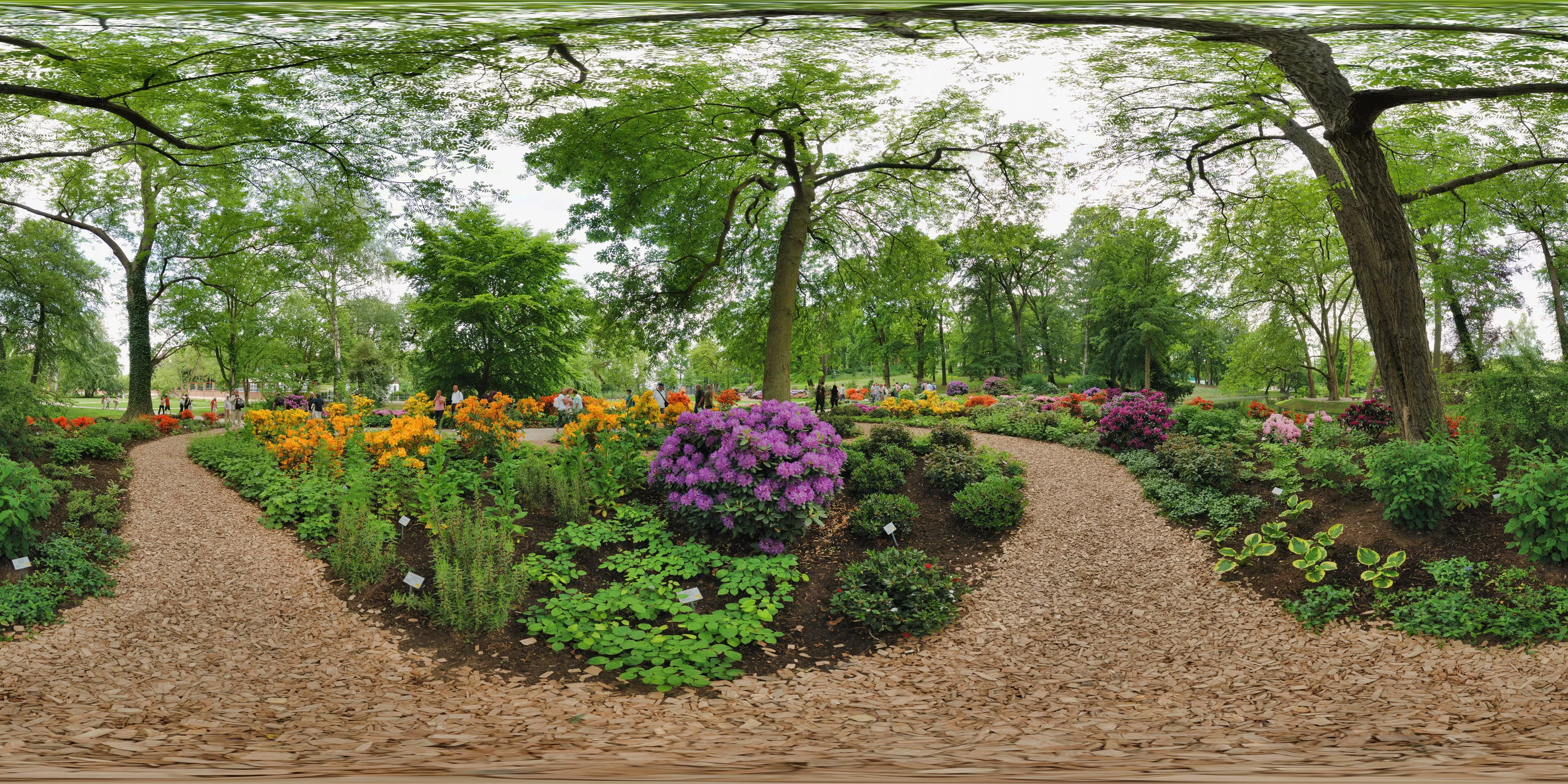 360 Grad Panorama Ansicht: Azaleengarten in Bundesgartenschau 2009