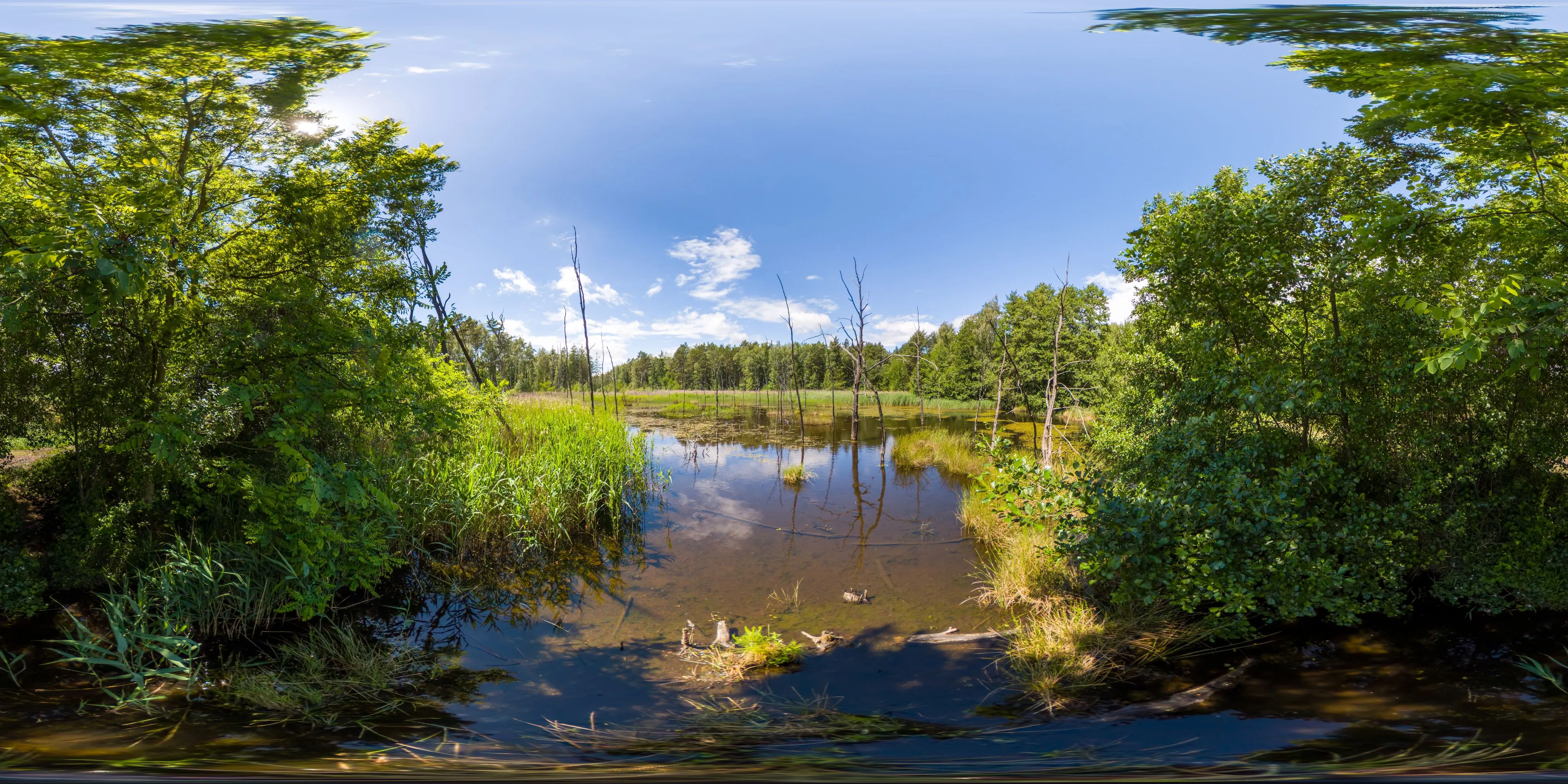 360° Panorama Ansicht: Feuchtfläche am Bohraer Wasser bei Laußnitz