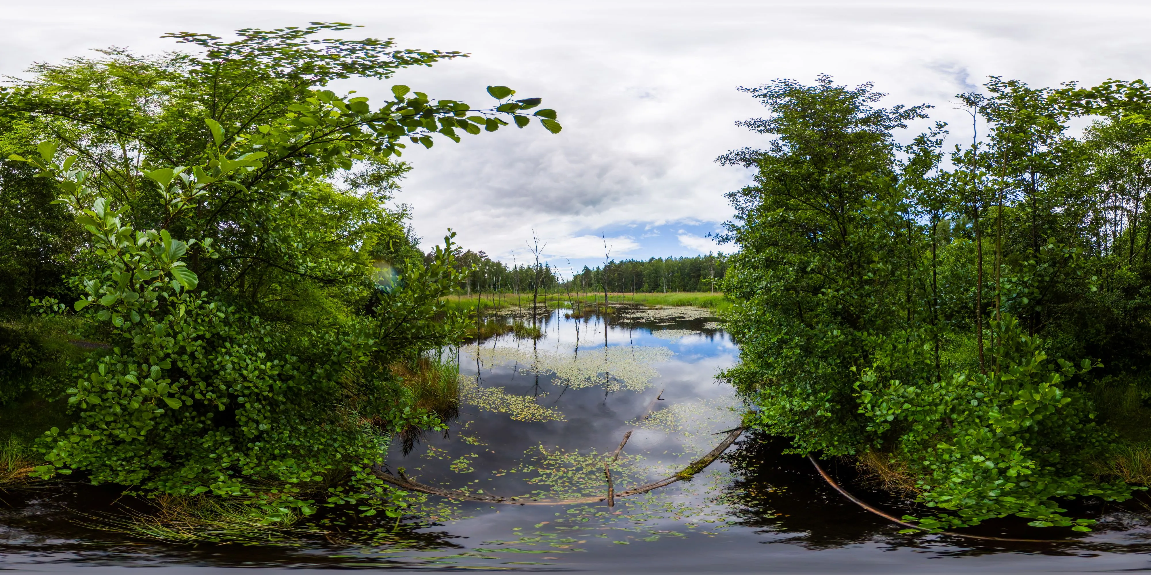 360° Panorama Ansicht: Feuchtfläche am Bohraer Wasser bei Laußnitz