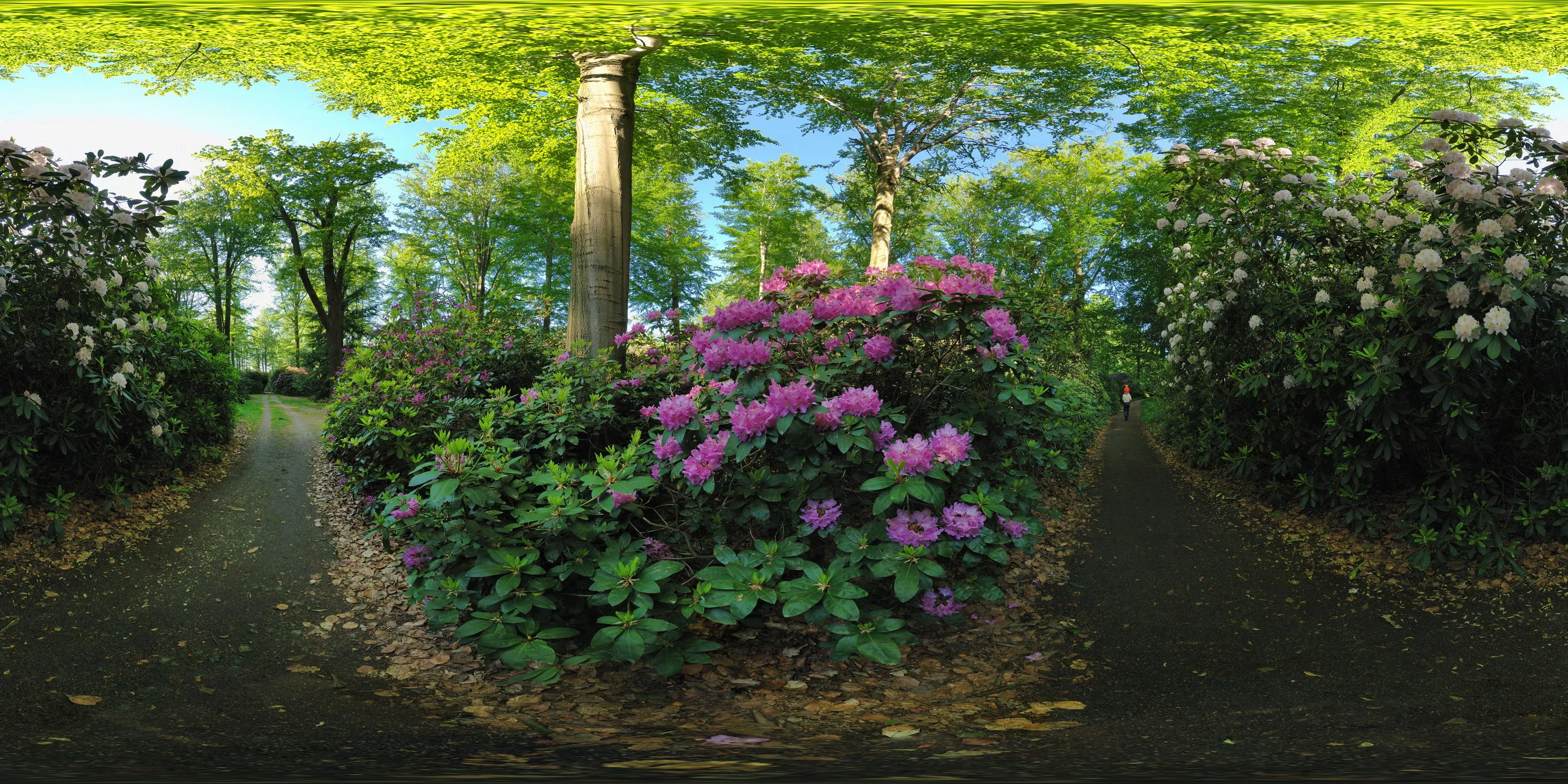 360 Grad Panorama Ansicht: Schlosspark Schloss Gaußig 1 in Oberlausitz