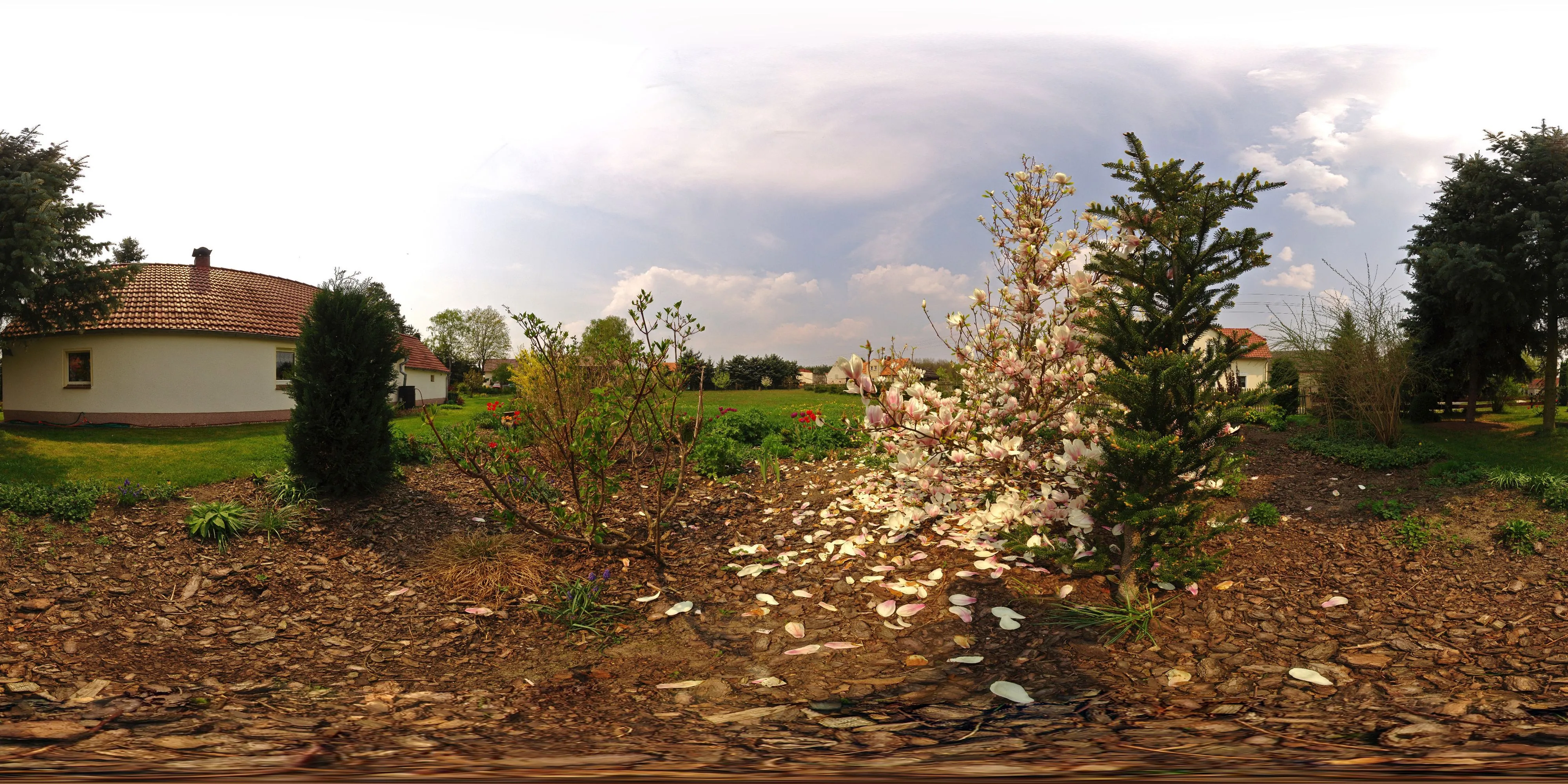 360° Panorama Ansicht: Tulpenbaum