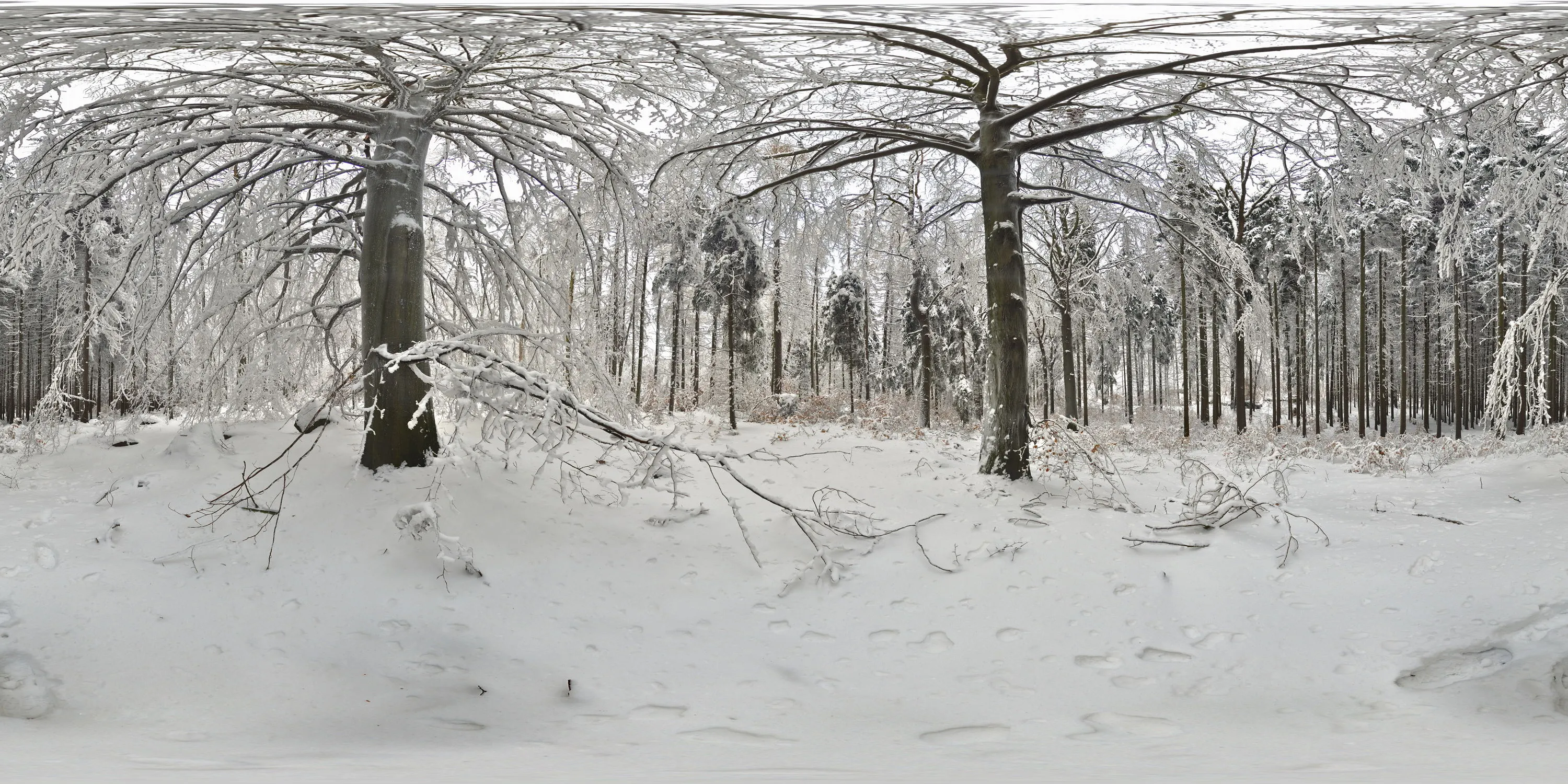 360 Grad Panorama Ansicht: Klosterberg in Oberlausitz