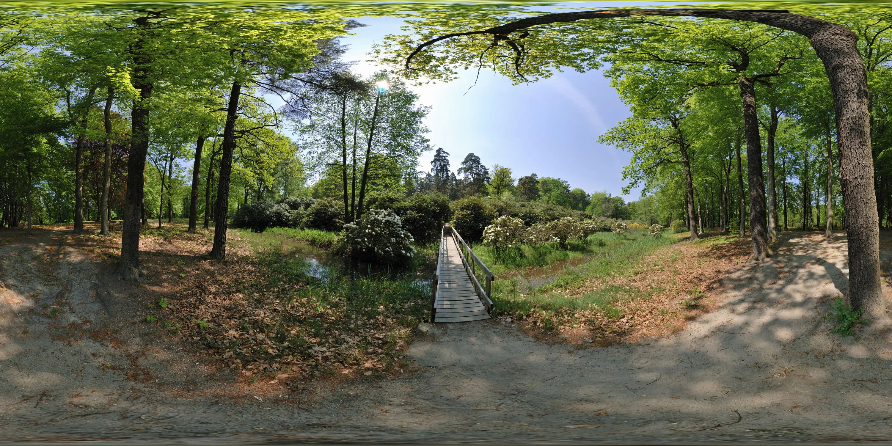 360 Grad Panorama Ansicht: Rhododendronschlucht in Azaleen- und Rhododendronpark