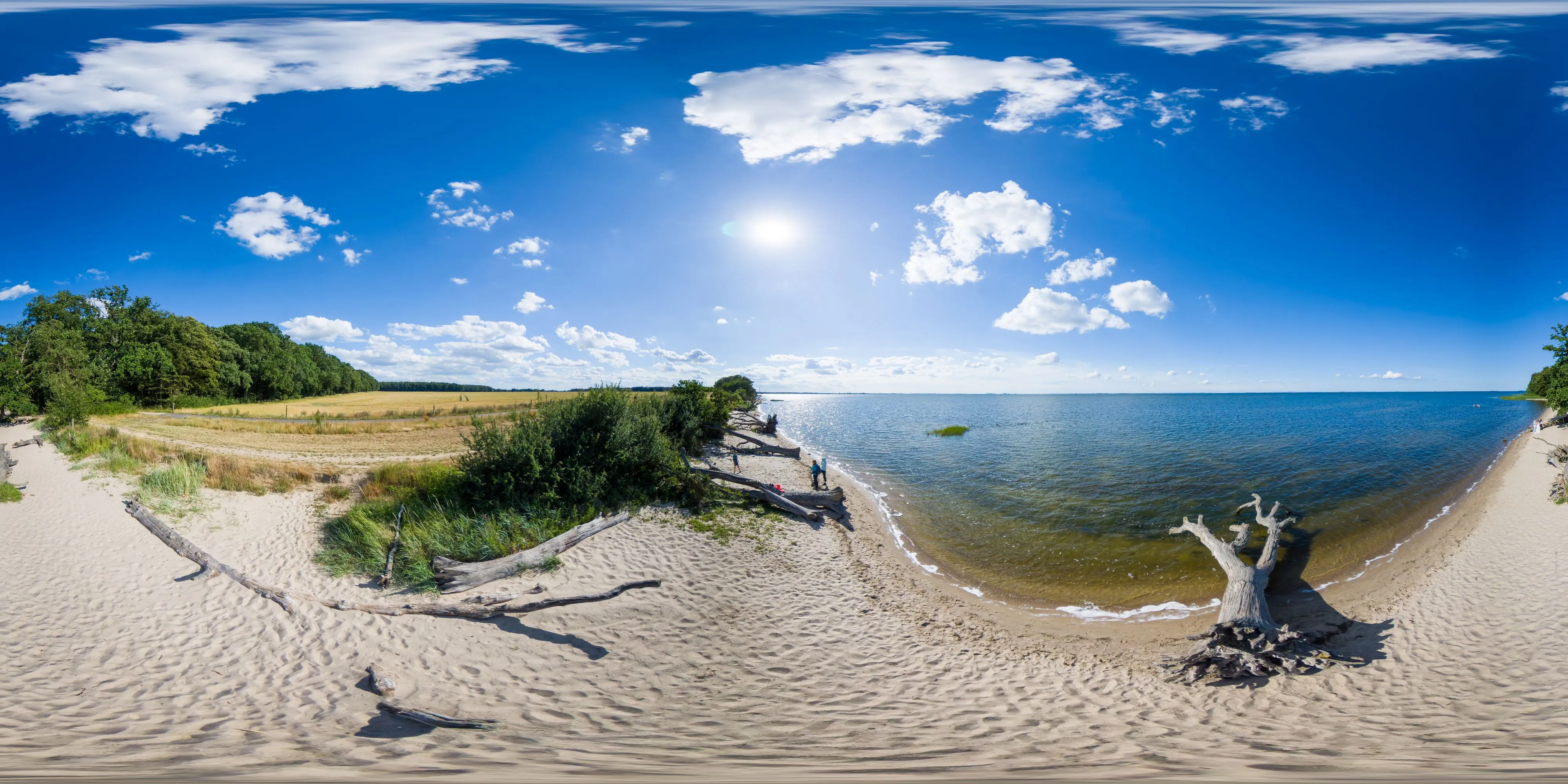 360° Panorama Ansicht: Loissin - Schlafende Bäume