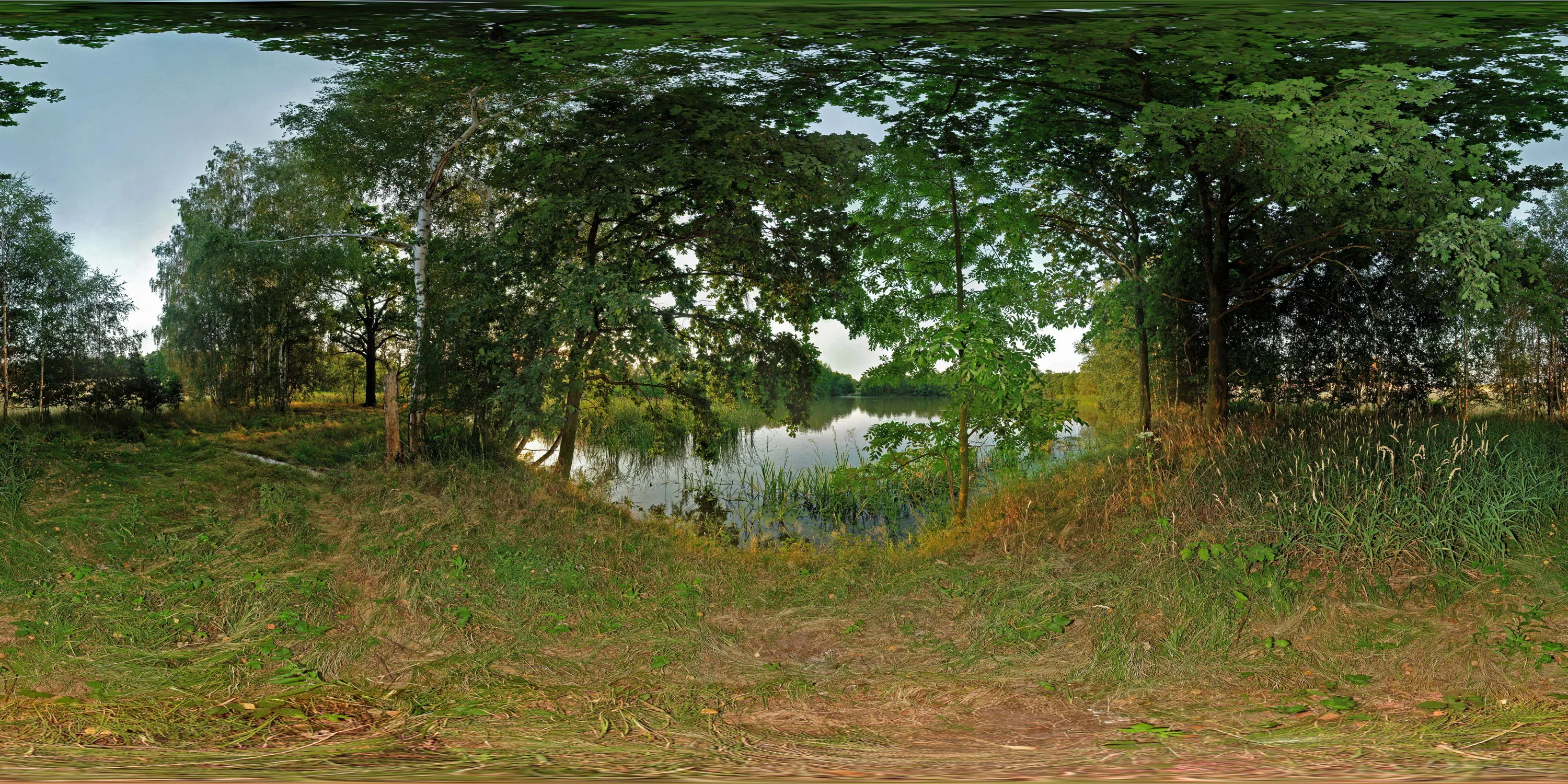 360 Grad Panorama Ansicht: Teich bei Niedergurig in Oberlausitz