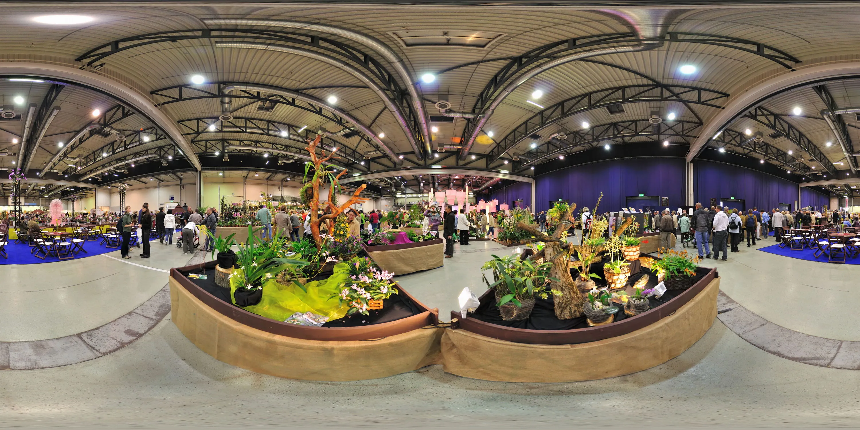 360 Grad Panorama Ansicht: Orchideen Austellung 3 in Dresdner Ostern und Internationale Orchideen-Welt 2010