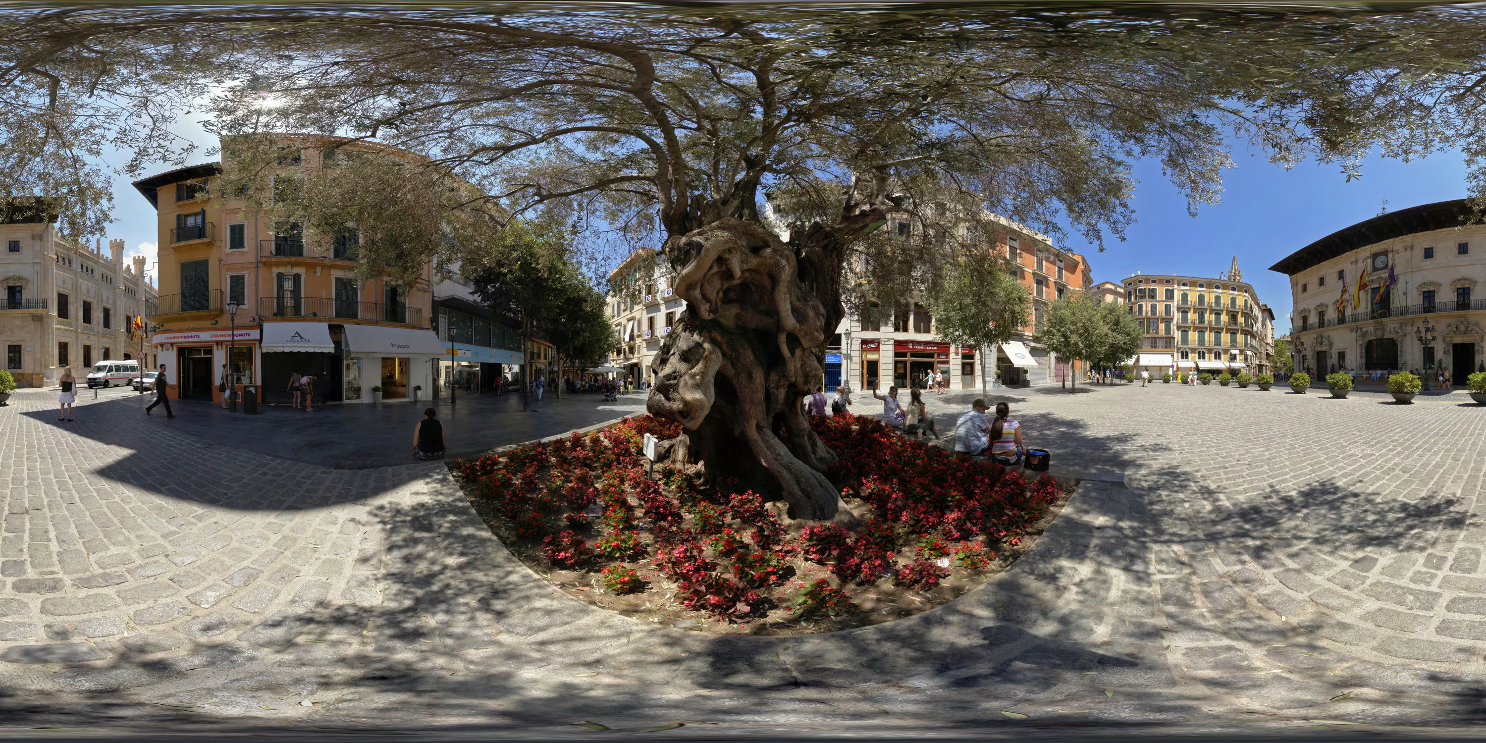 360 Grad Panorama Ansicht: Placa de Cort in Palma