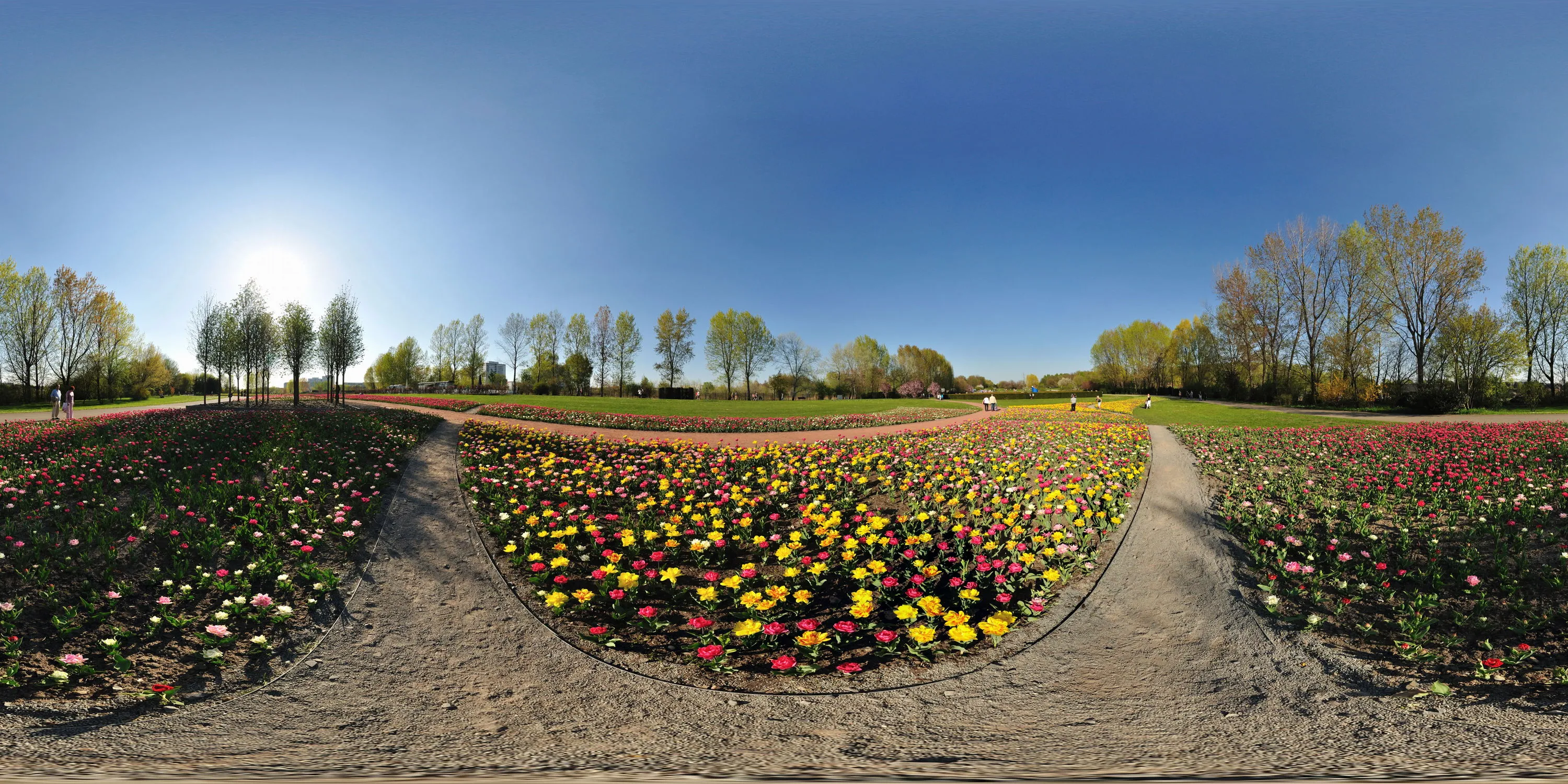 360 Grad Panorama Ansicht: Tulpenfeld in Erholungspark Marzahn