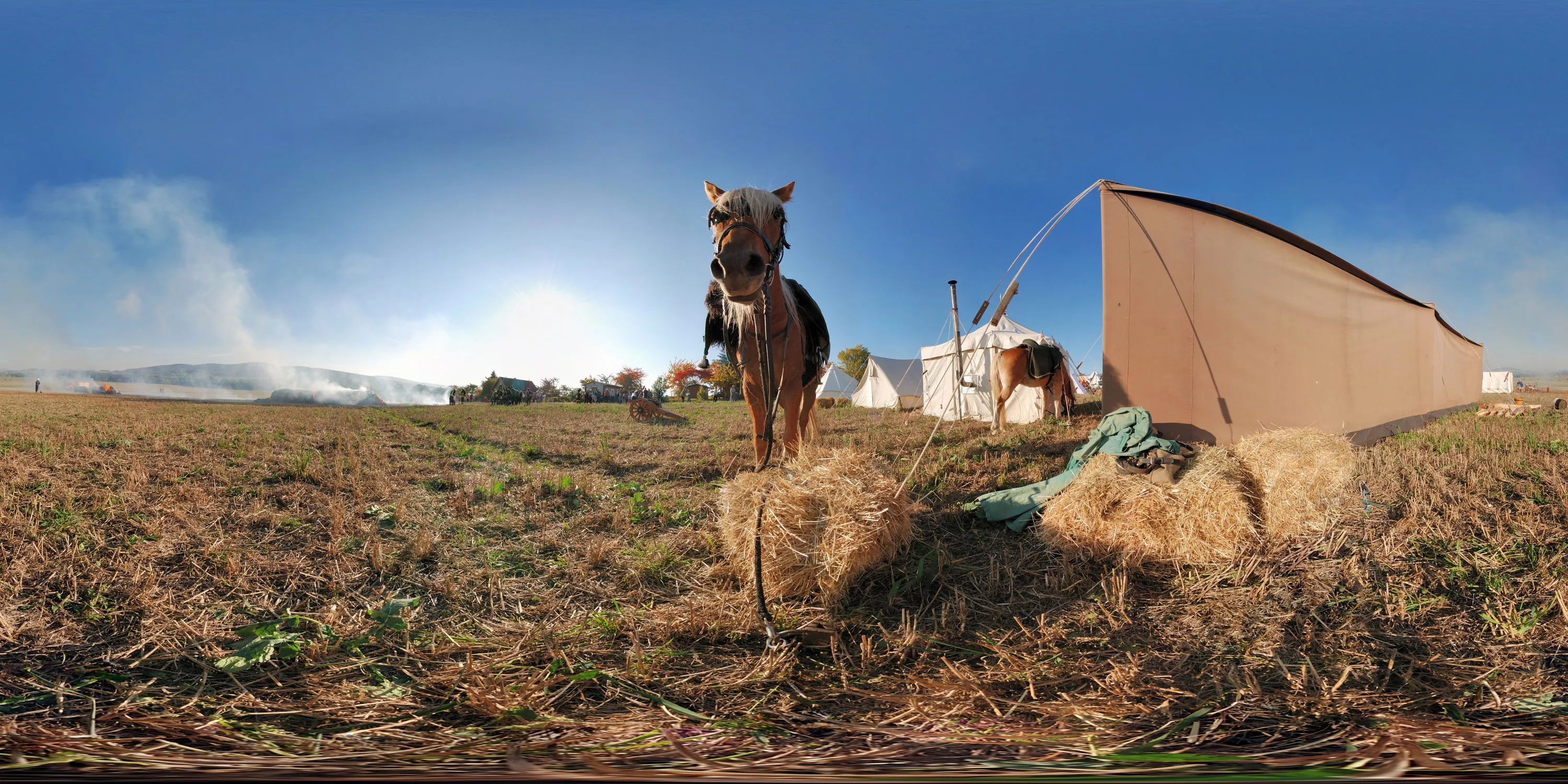360 Grad Panorama Ansicht: Pferde in Die Schlacht um Hochkirch