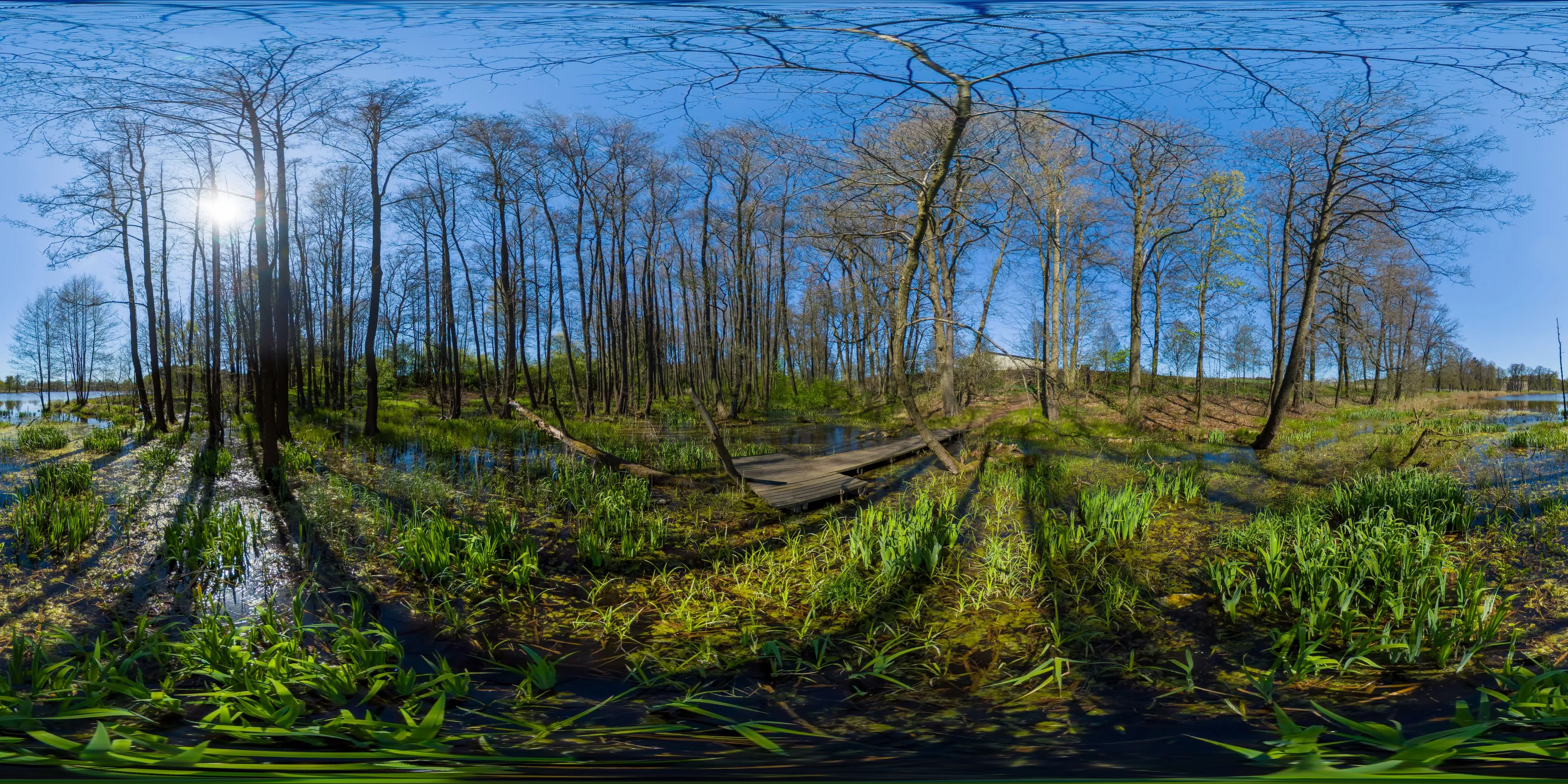 360 Grad Panorama Ansicht: Steg am Schlossteich in Tschechien