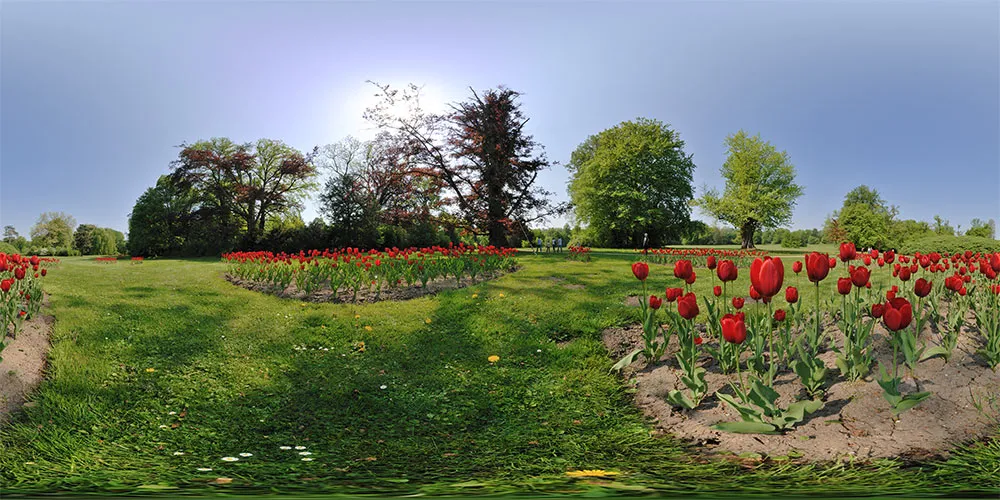 360° Panorama: Rosenbeete in Fürst Pückler Park