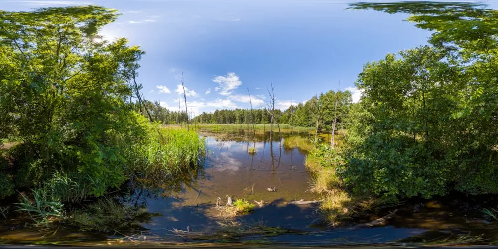 360° Panorama: Feuchtfläche am Bohraer Wasser bei Laußnitz in Sachsen