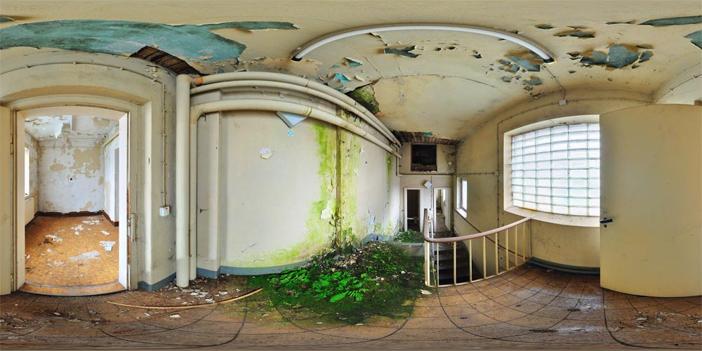 Kretscham - Biotop im Treppenhaus