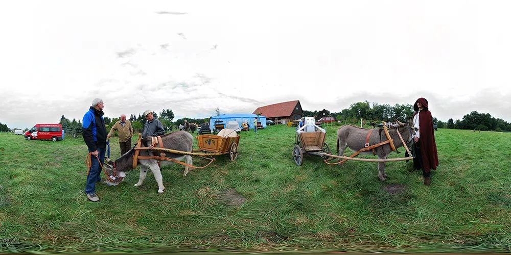 360° Panorama: Eselkarren in Erlichthofsiedlung Rietschen