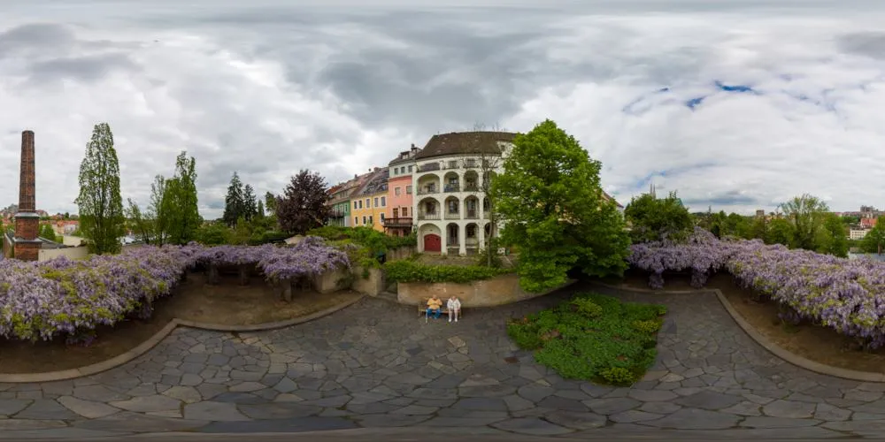 360° Panorama: Ochsenzwinger - Terrasse mit Blauregen in Görlitz