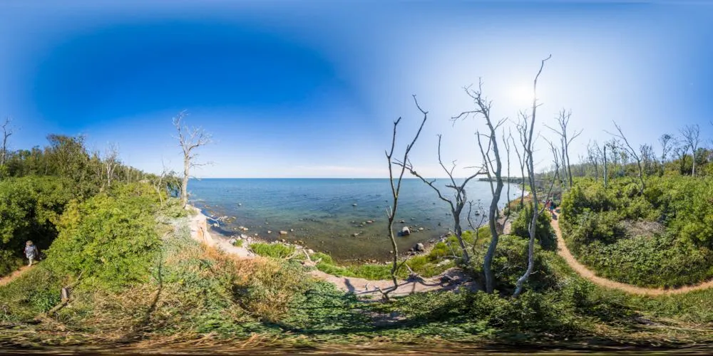 360° Panorama: Kormorankolonie in Greifswalder Oie