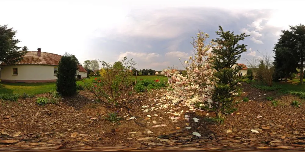 360° Panorama: Tulpenbaum in Halbendorf/ Spree