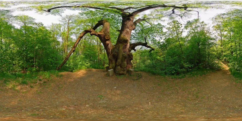 Virtueller Rundgang in der Nähe: Humboldthain