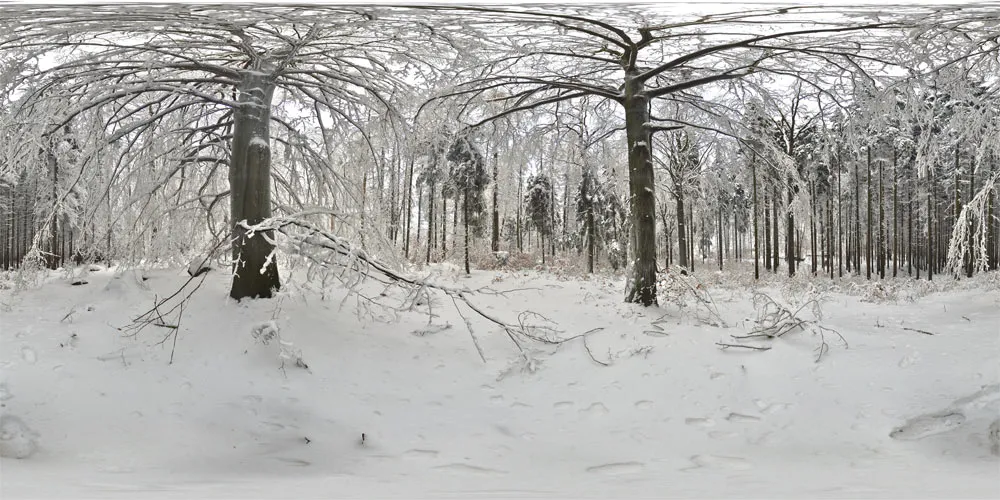 360° Panorama: Klosterberg in Oberlausitz