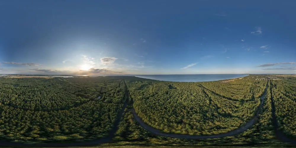 360° Panorama: Waldgebiet zwischen Karlshagen und Peenemünde in Usedom