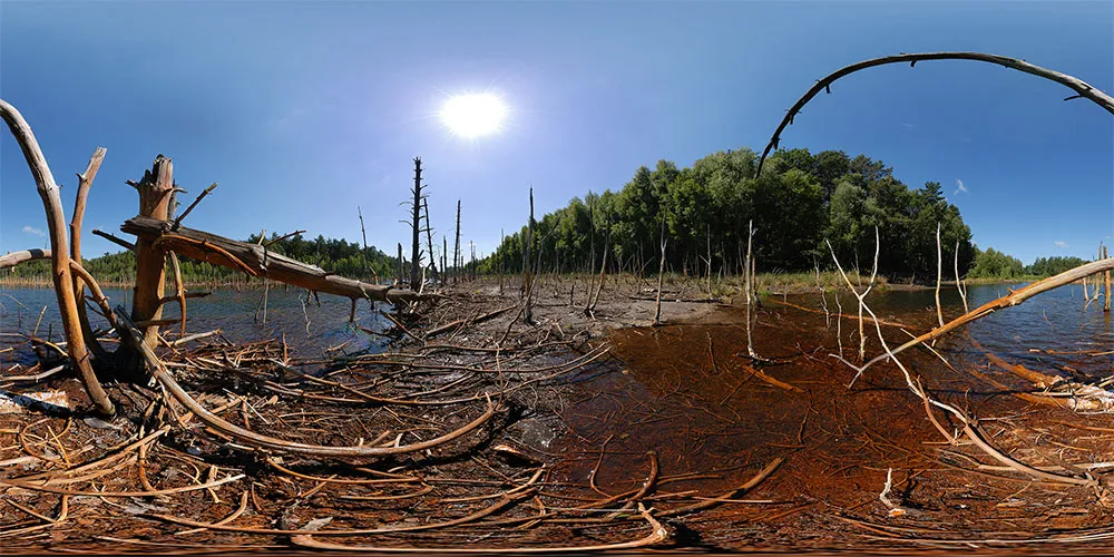 360° Panorama: Teich in Muskauer Faltenbogen
