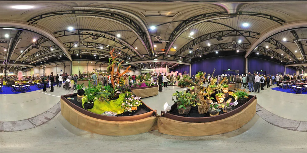 360° Panorama: Orchideen Austellung 3 in Dresdner Ostern und Internationale Orchideen-Welt 2010