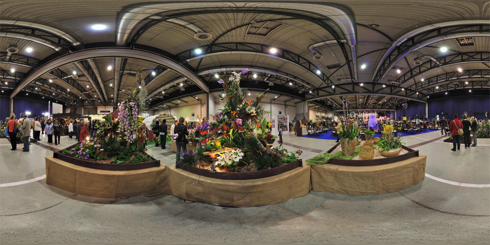 Orchideen Austellung 1