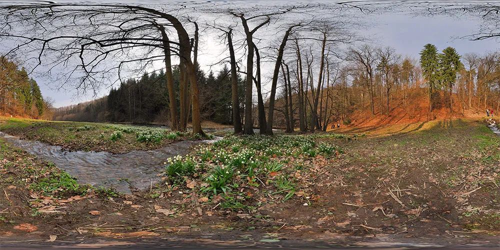360° Panorama: Märzenbecherwiesen in Sächsische Schweiz