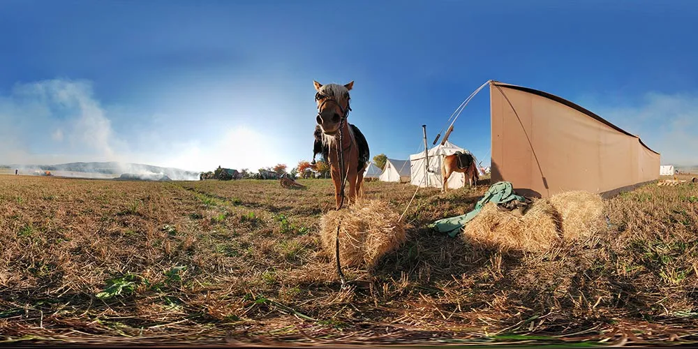 360° Panorama: Pferde in Die Schlacht um Hochkirch