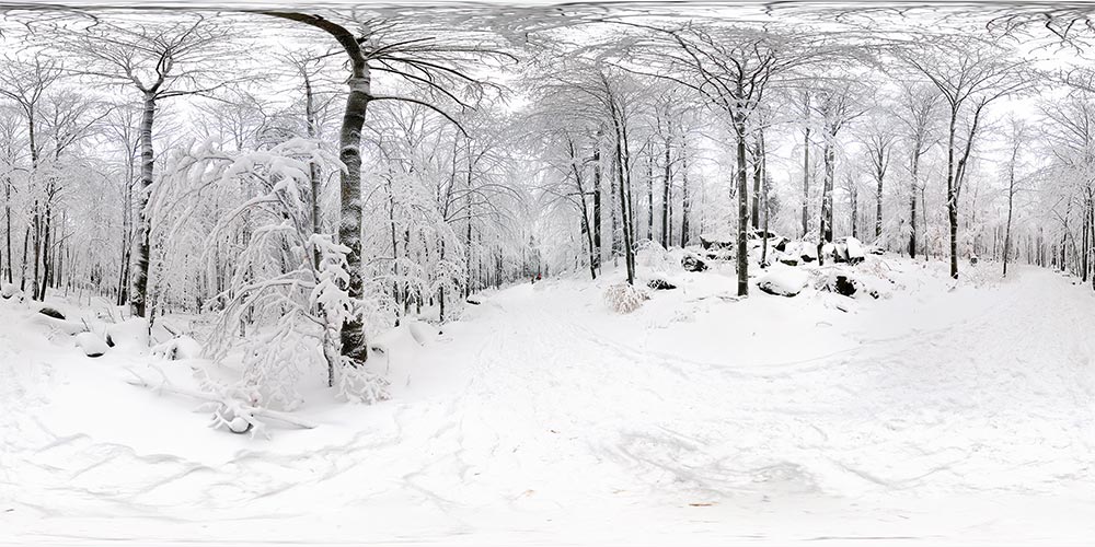 Wanderweg nach Neukirch