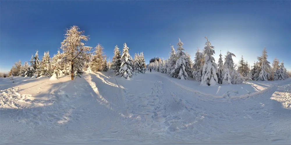 360° Panorama: Fahrweg zum Hochwald in Berg Hochwald