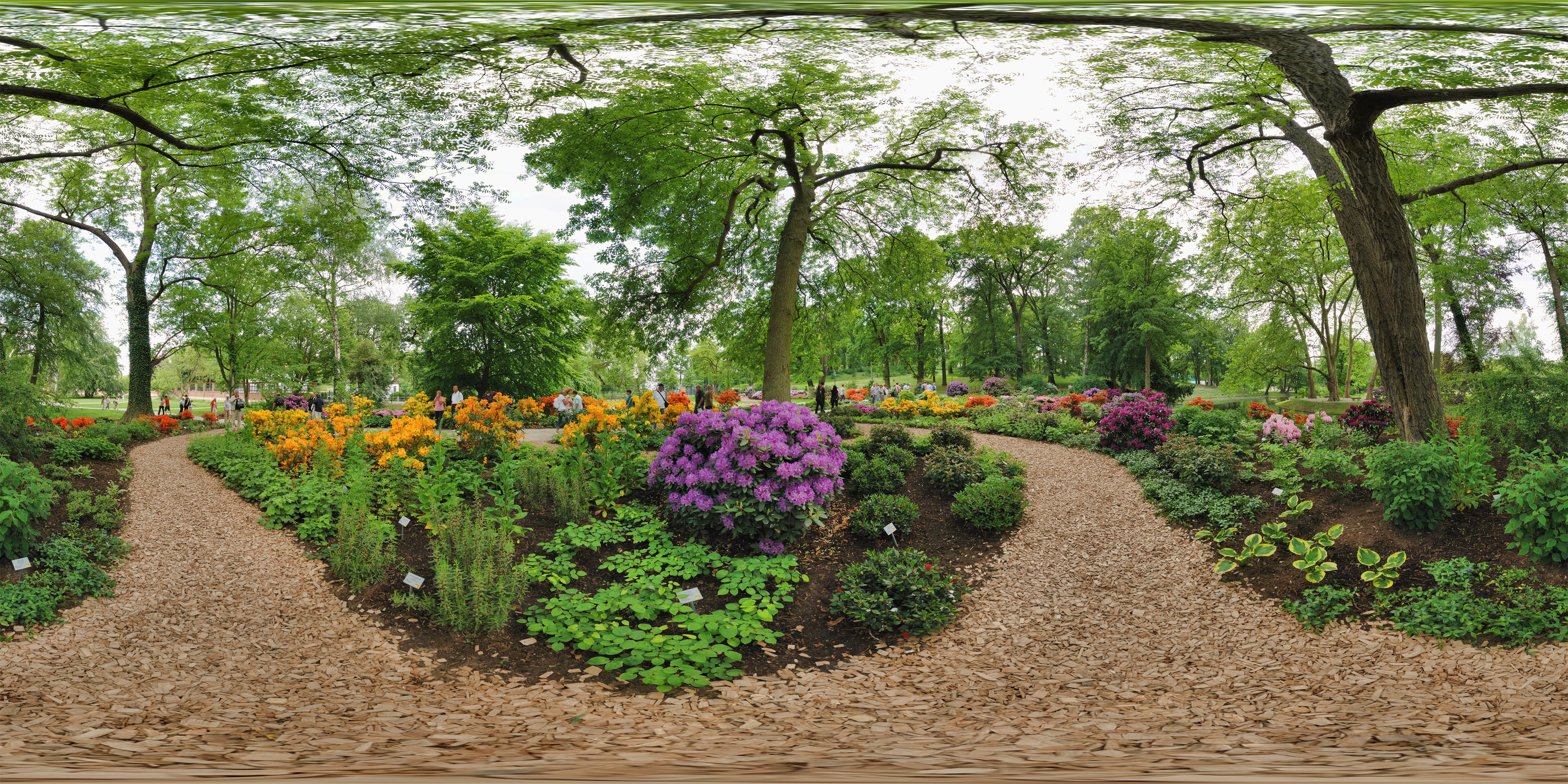 Virtueller Rundgang in der Nähe: Azaleengarten