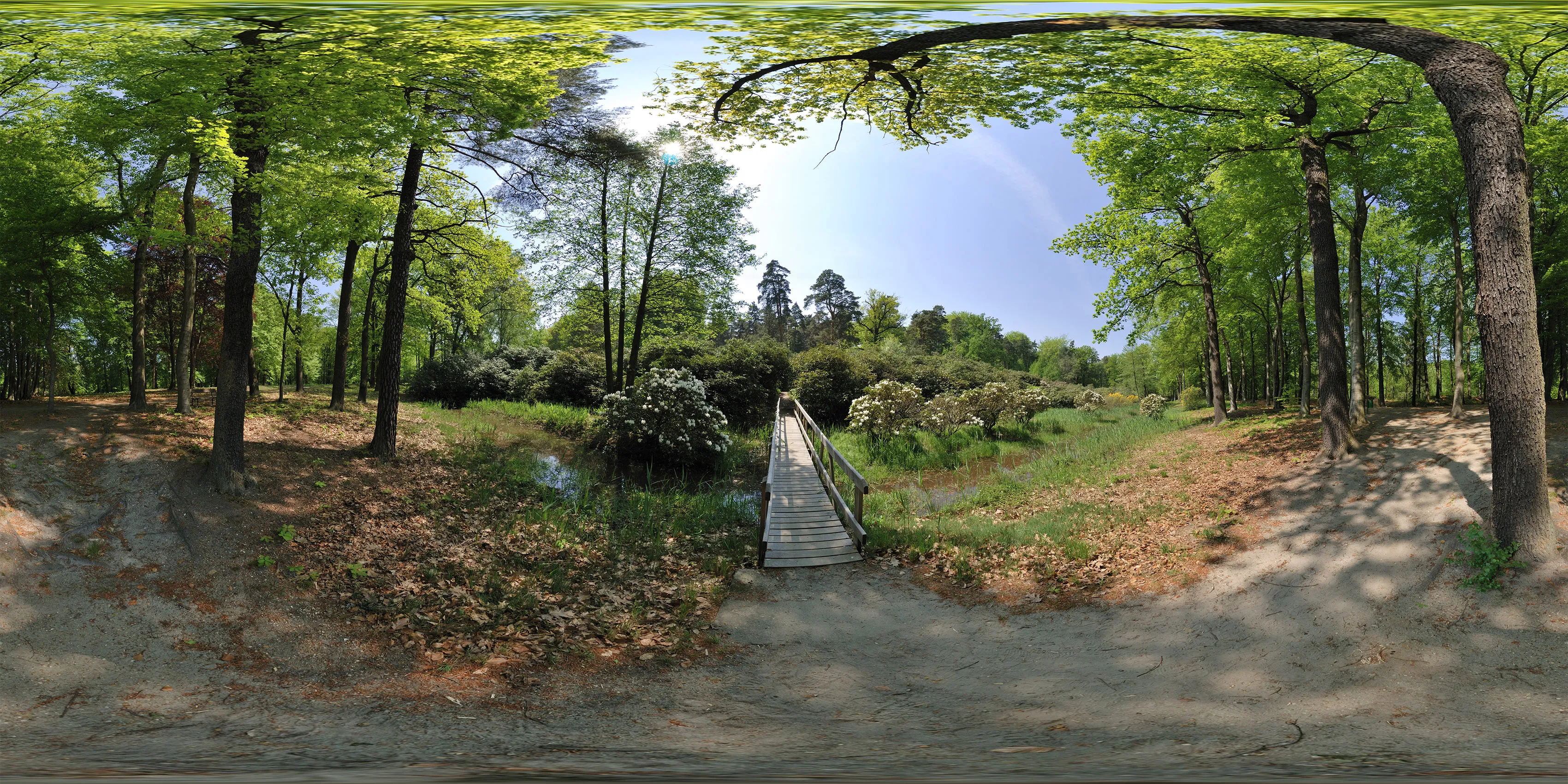 Virtueller Rundgang in der Nähe: Rhododendronschlucht in Azaleen- und Rhododendronpark