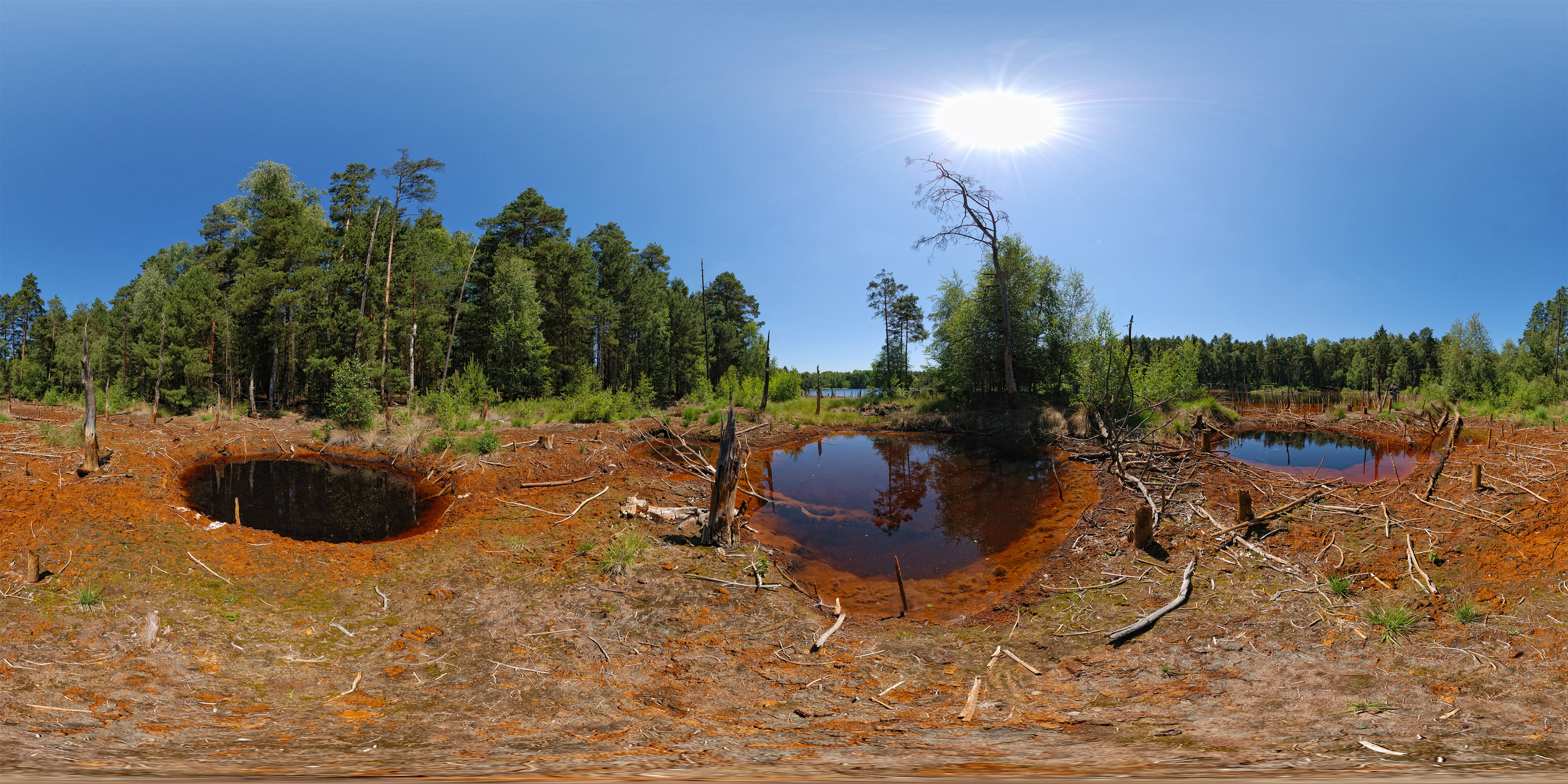 Virtueller Rundgang in der Nähe: Schwarzer See