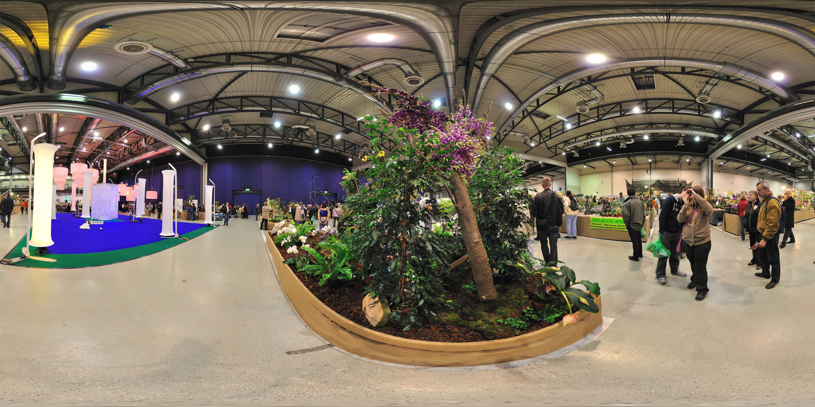 Virtueller Rundgang in der Nähe: Orchideen Austellung 2