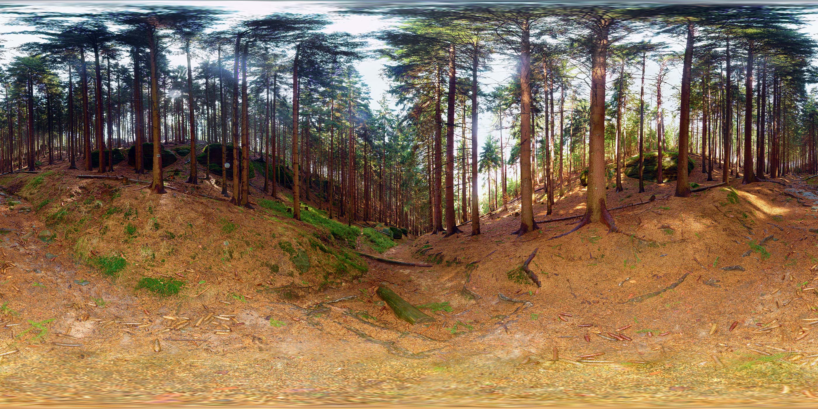 Virtueller Rundgang in der Nähe: Waldweg zur Hickelhöhle