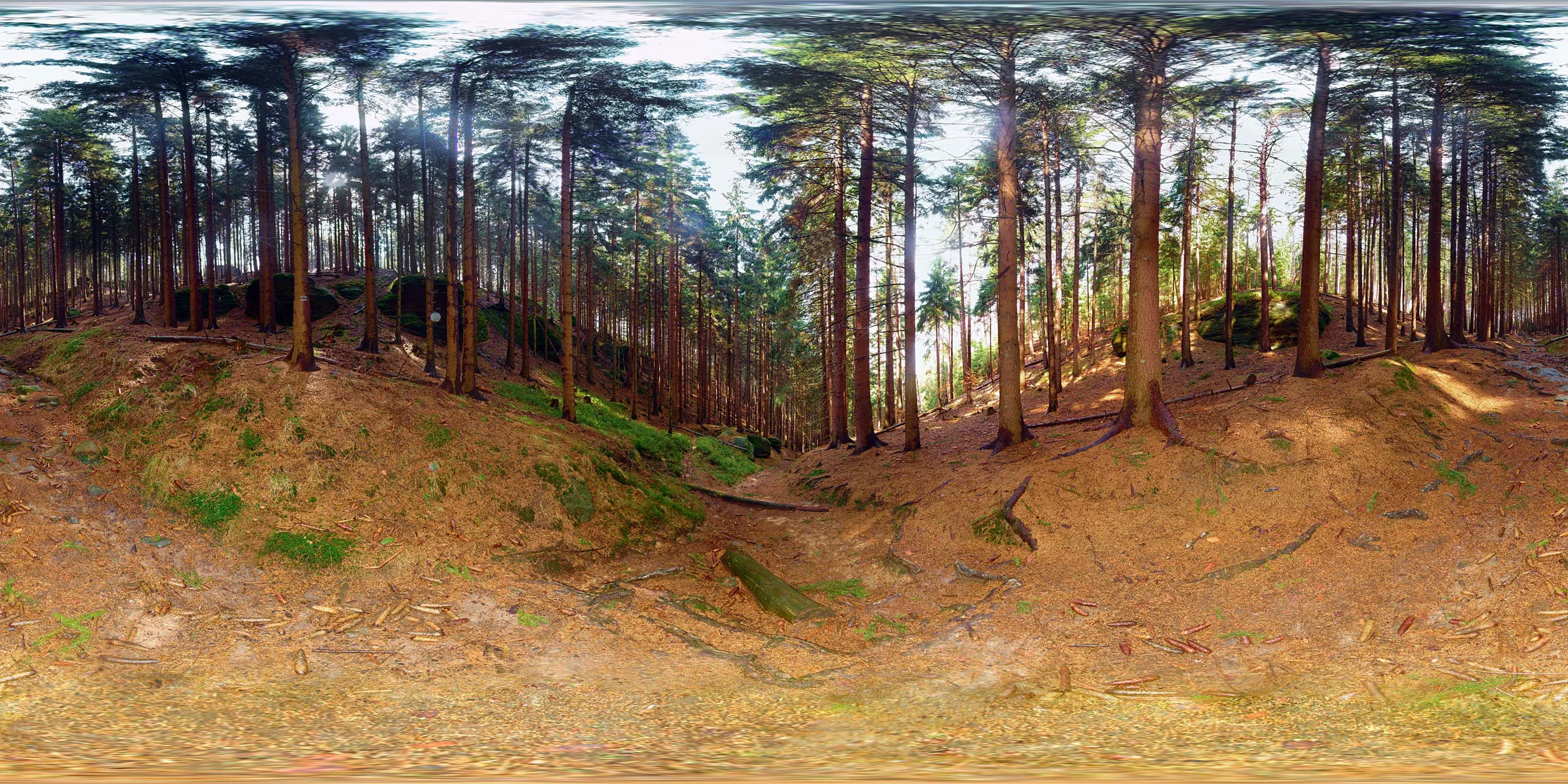 Virtueller Rundgang in der Nähe: Waldweg zur Hickelhöhle in Sächsische Schweiz
