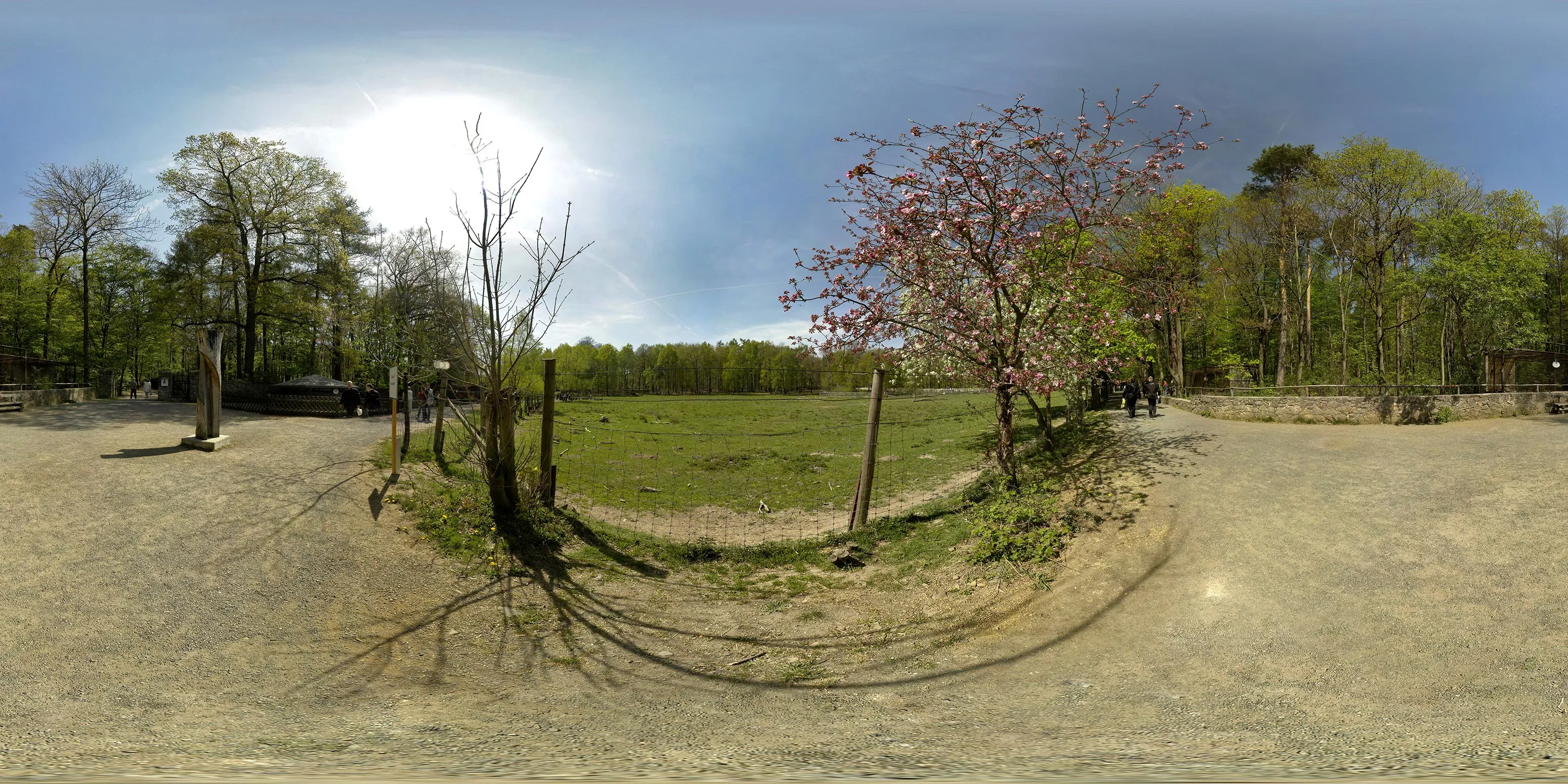 Virtueller Rundgang in der Nähe: Wildgehege Moritzburg in Sachsen