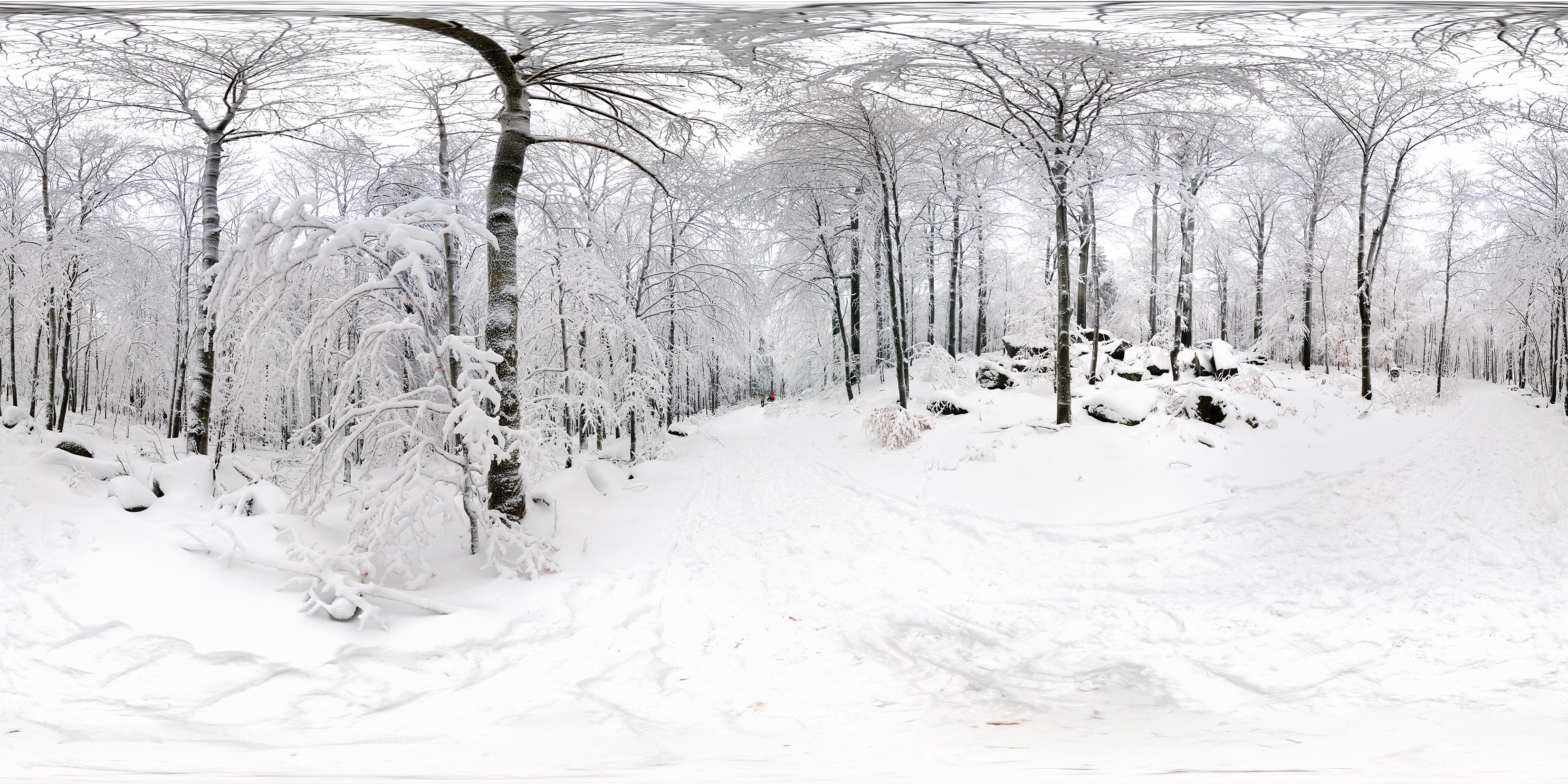 Wanderweg nach Neukirch