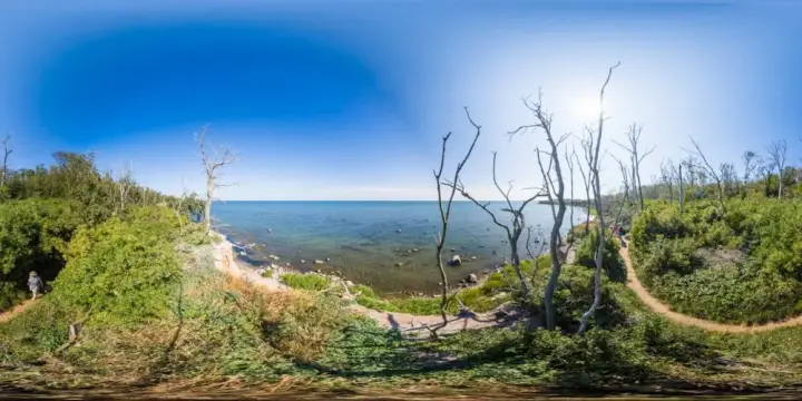 360° Panorama: Kormorankolonie 2 (2026) in Greifswalder Oie