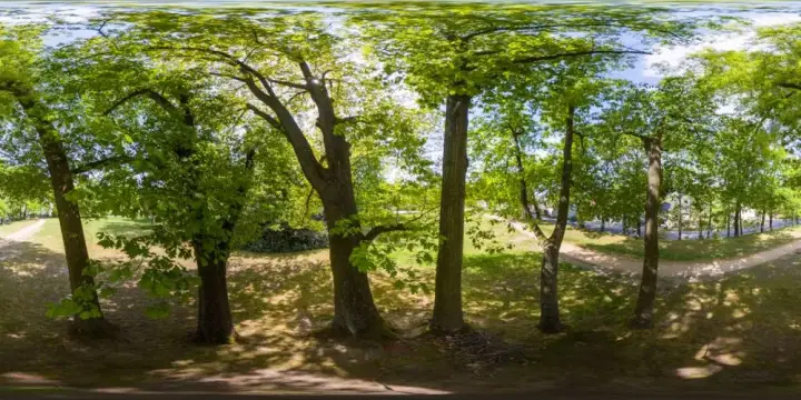 360° Panorama: Eicheninsel in Azaleen- und Rhododendronpark