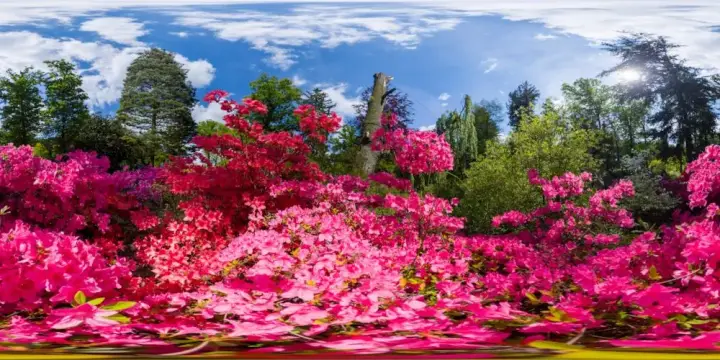 360° Panorama: Inselteich 2 in Azaleen- und Rhododendronpark